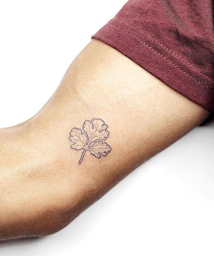 28 Unique Coriander Tattoos You Must Love