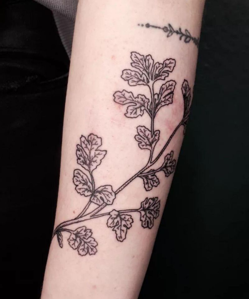 28 Unique Coriander Tattoos You Must Love