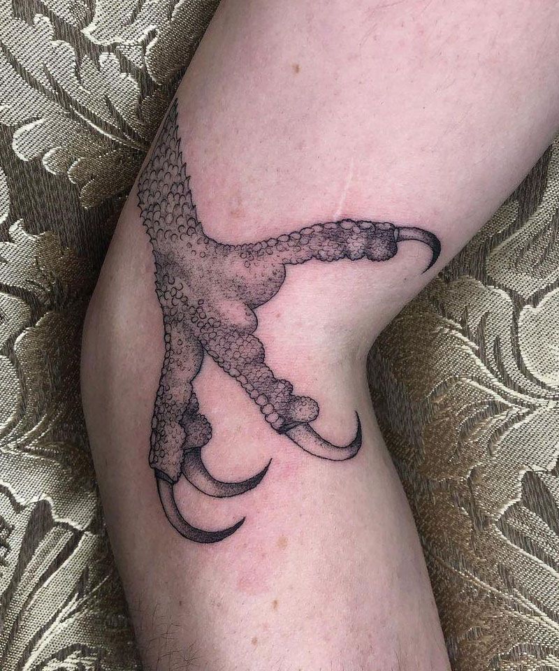 30 Unique Talon Tattoos You Can Copy