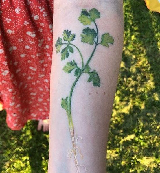 28 Unique Coriander Tattoos You Must Love