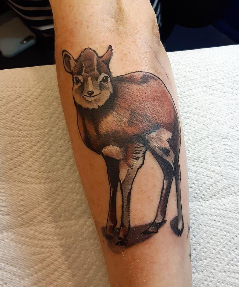 30 Pretty Antelope Tattoos You Will Love