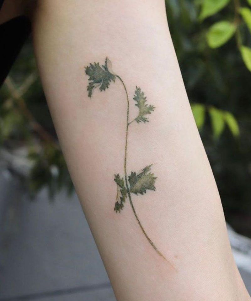 28 Unique Coriander Tattoos You Must Love