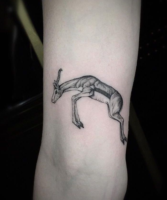 30 Unique Springbok Tattoos You Must Love