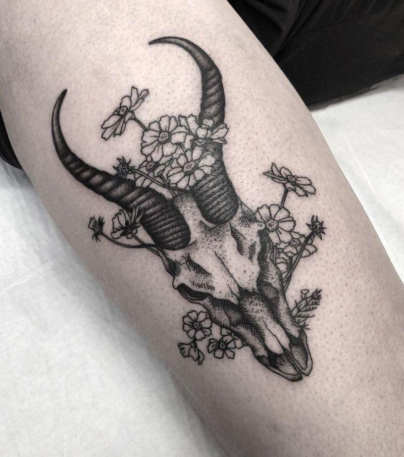 30 Unique Springbok Tattoos You Must Love