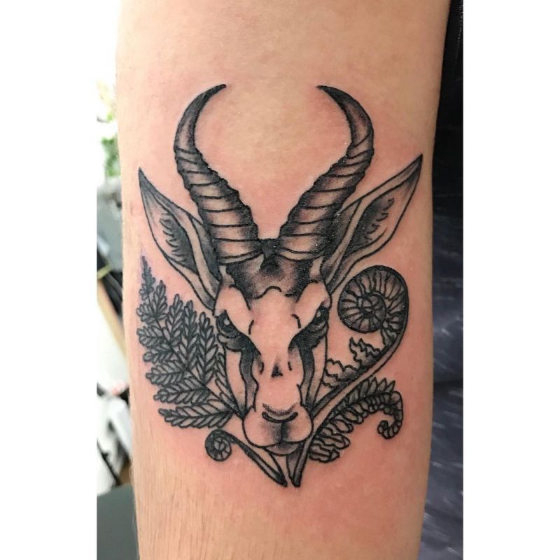 30 Unique Springbok Tattoos You Must Love