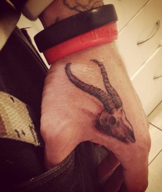 30 Unique Springbok Tattoos You Must Love