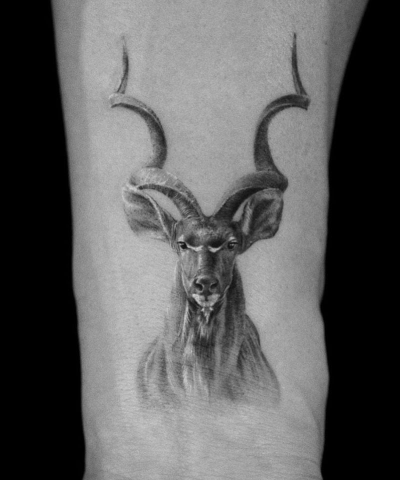 30 Unique Kudu Tattoos You Can Copy