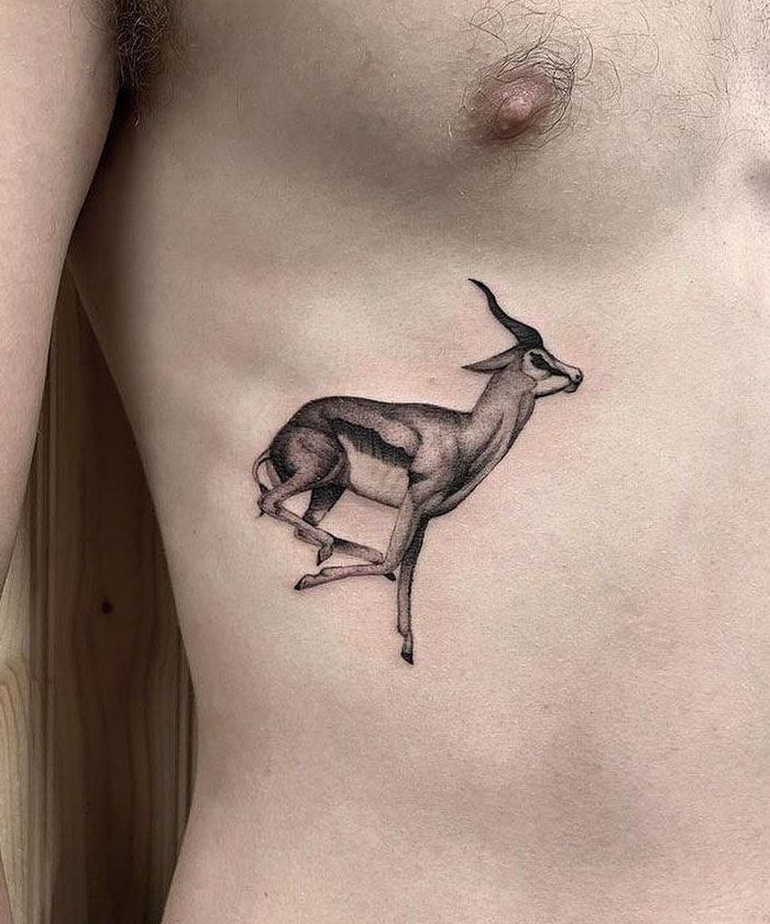 30 Unique Springbok Tattoos You Must Love