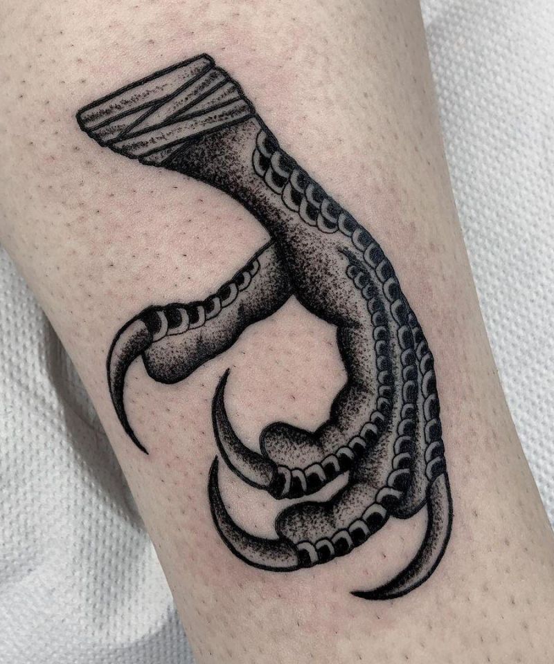 30 Unique Talon Tattoos You Can Copy