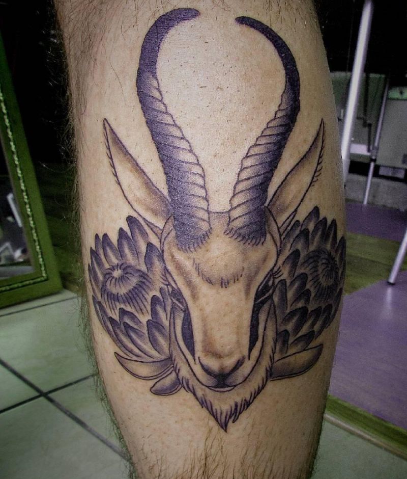 30 Unique Springbok Tattoos You Must Love