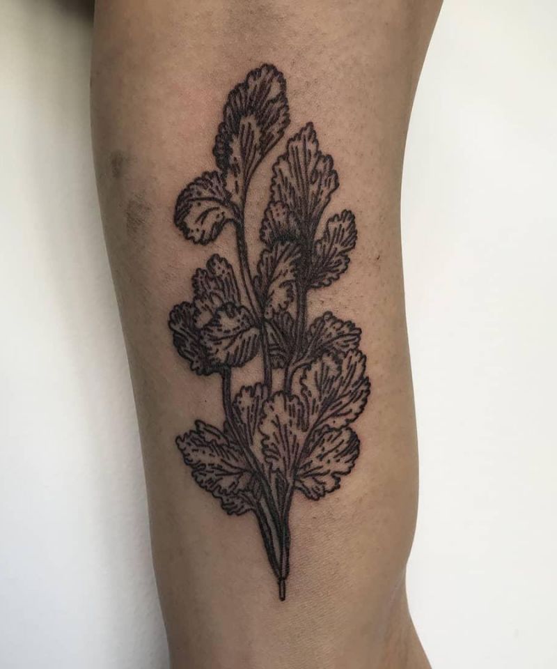 28 Unique Coriander Tattoos You Must Love