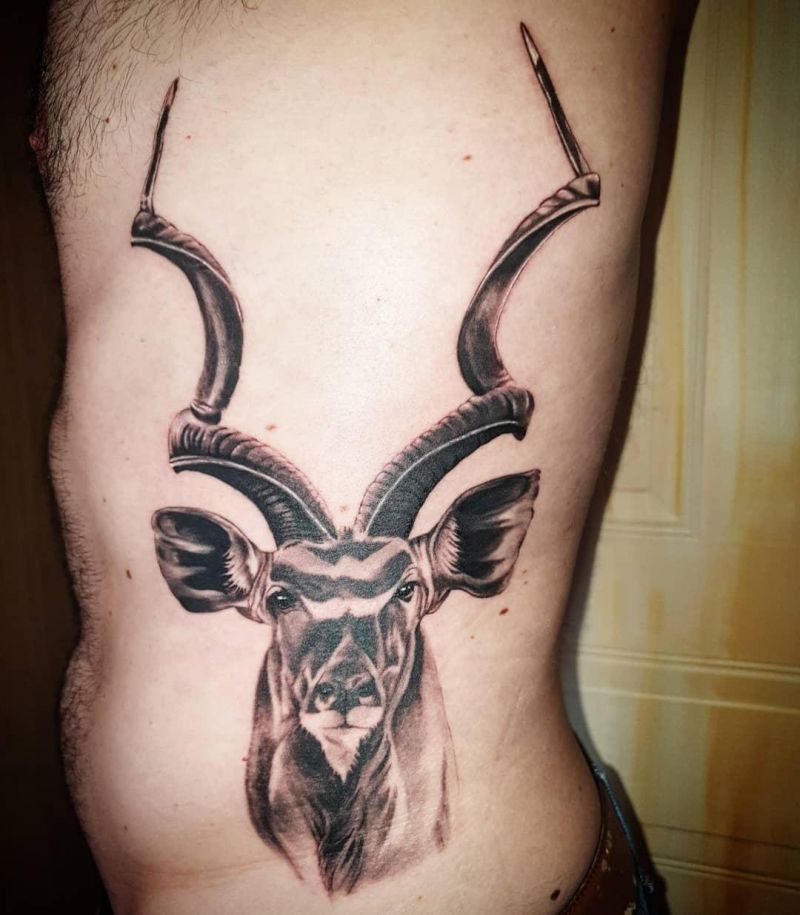 30 Unique Kudu Tattoos You Can Copy