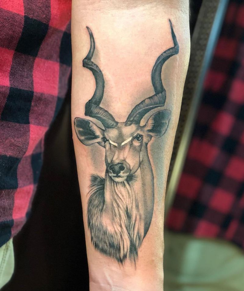 30 Unique Kudu Tattoos You Can Copy