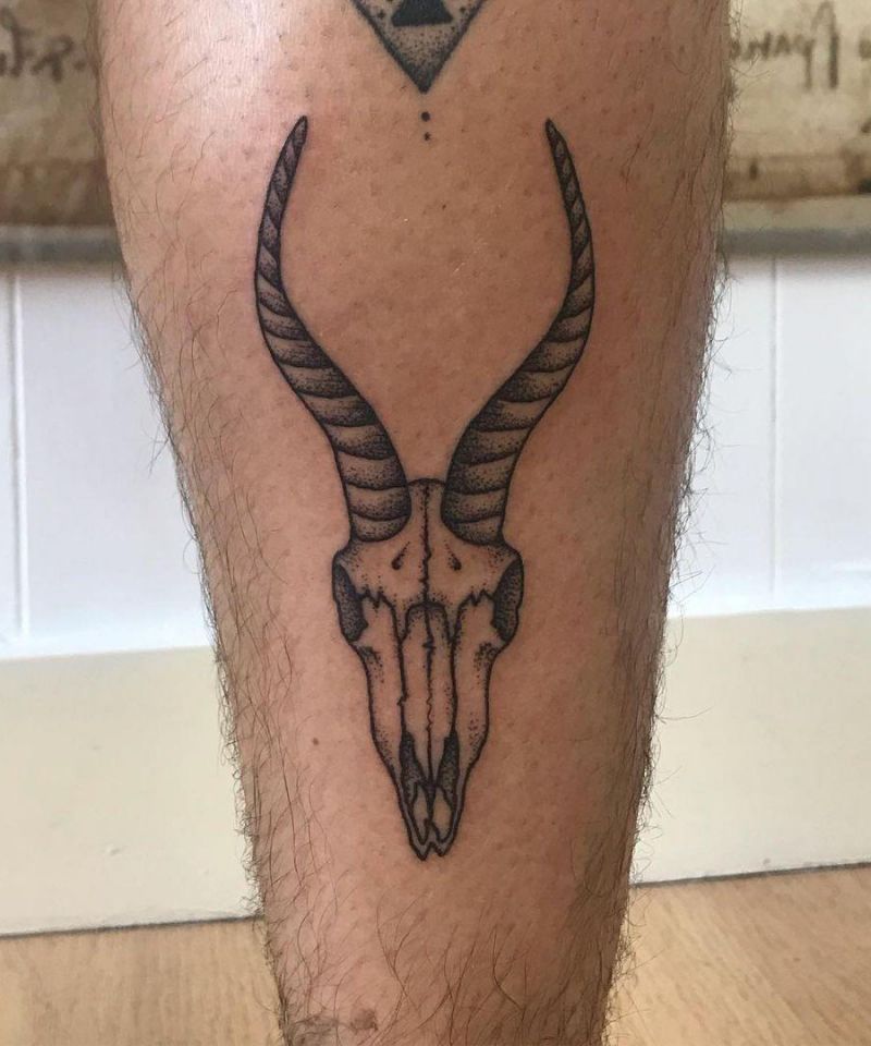 30 Unique Springbok Tattoos You Must Love