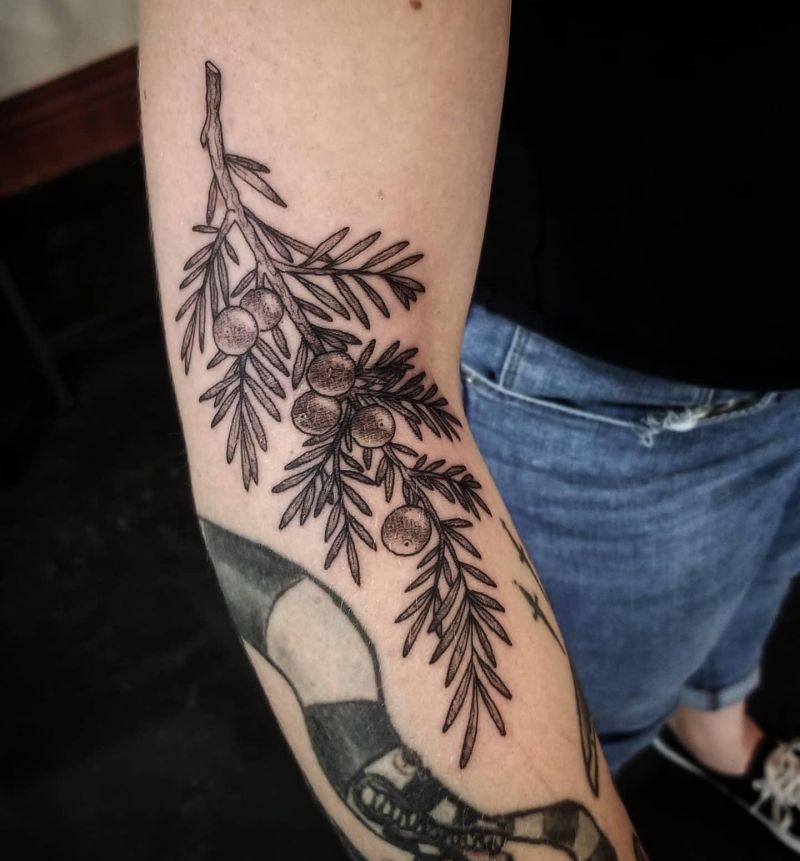 30 Pretty Juniper Tattoos to Inspire You