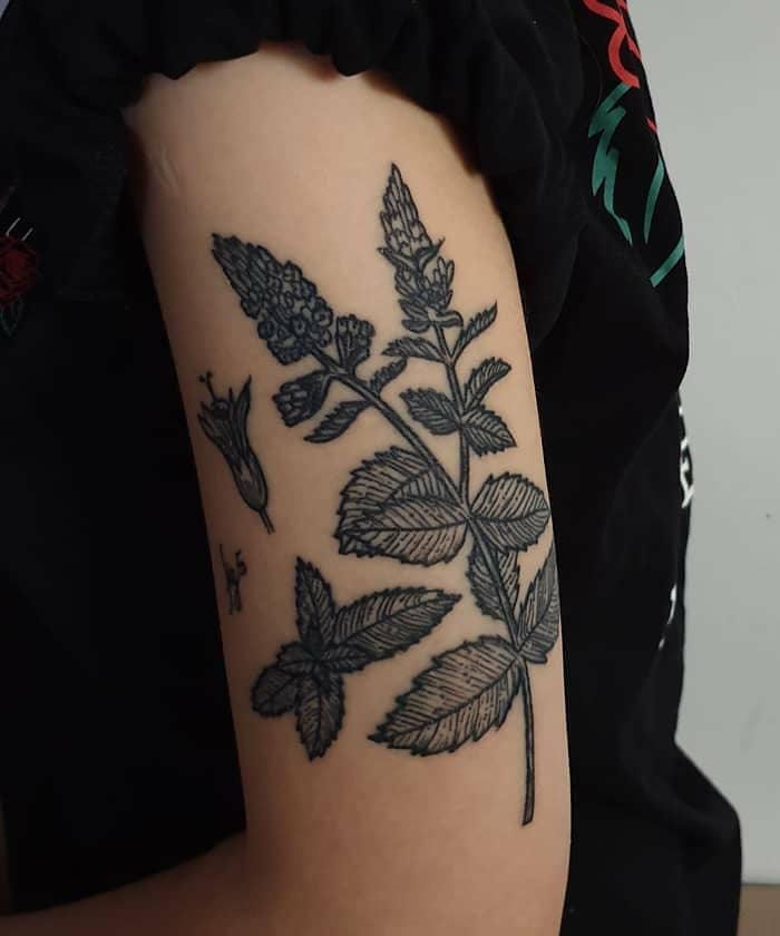 30 Pretty Mint Tattoos You Can Copy