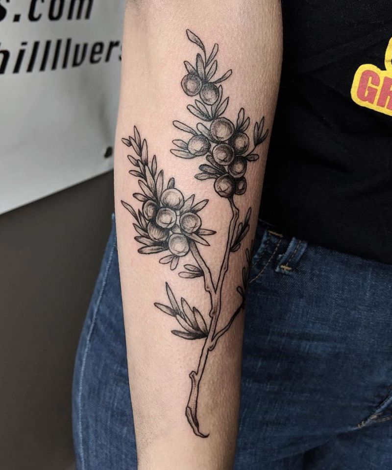 30 Pretty Juniper Tattoos to Inspire You