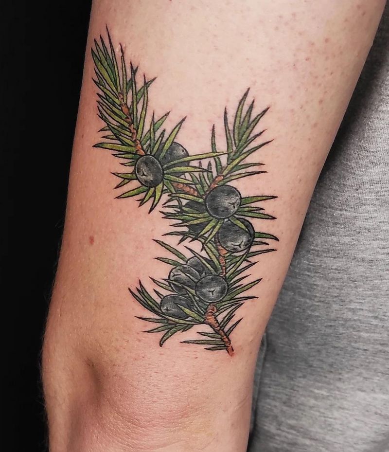 30 Pretty Juniper Tattoos to Inspire You