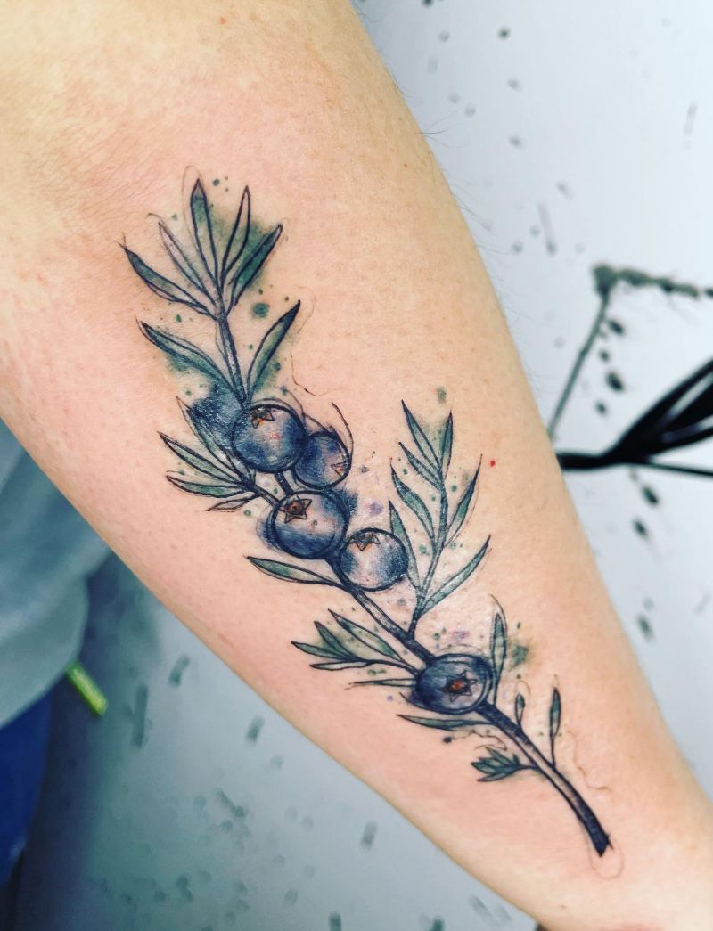 30 Pretty Juniper Tattoos to Inspire You