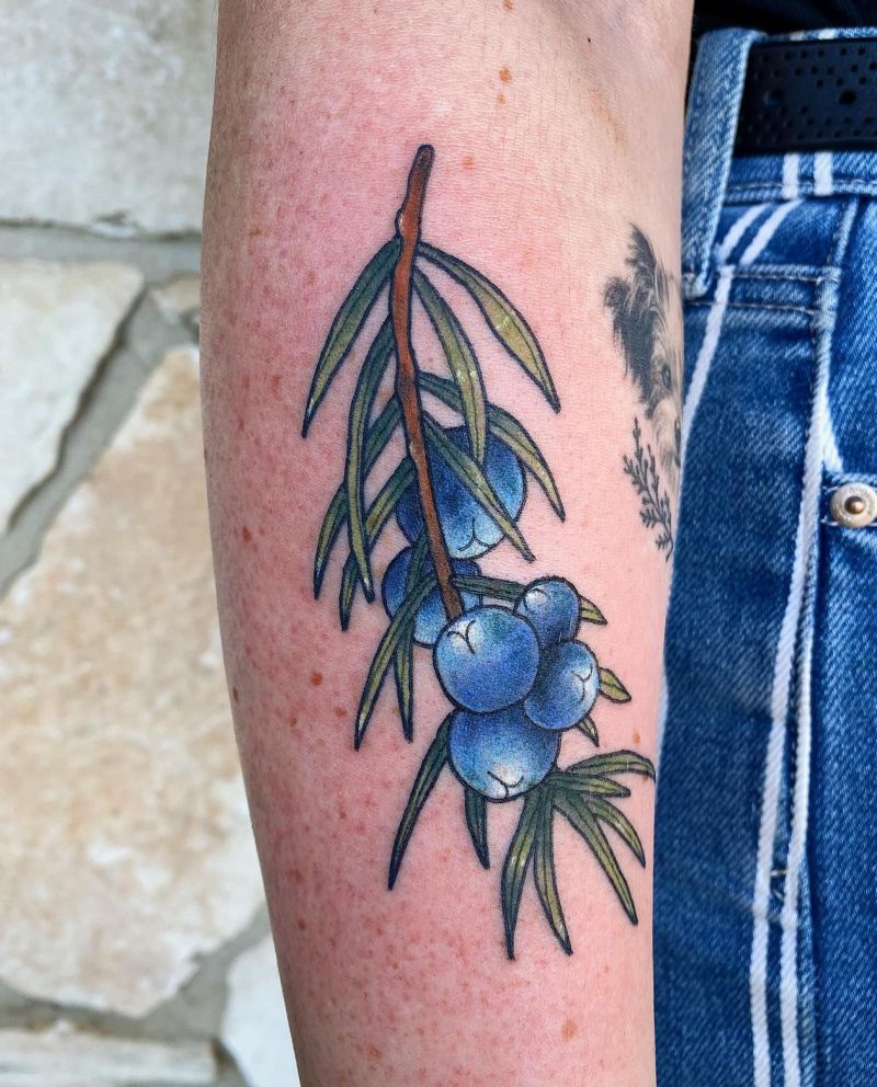 30 Pretty Juniper Tattoos to Inspire You