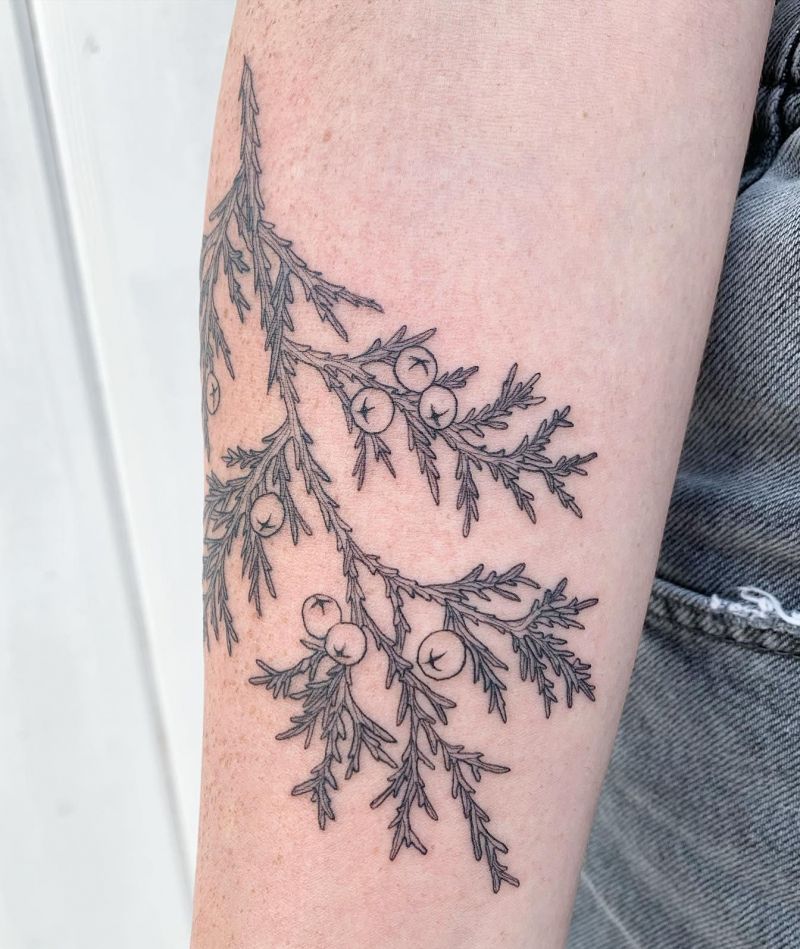 30 Pretty Juniper Tattoos to Inspire You