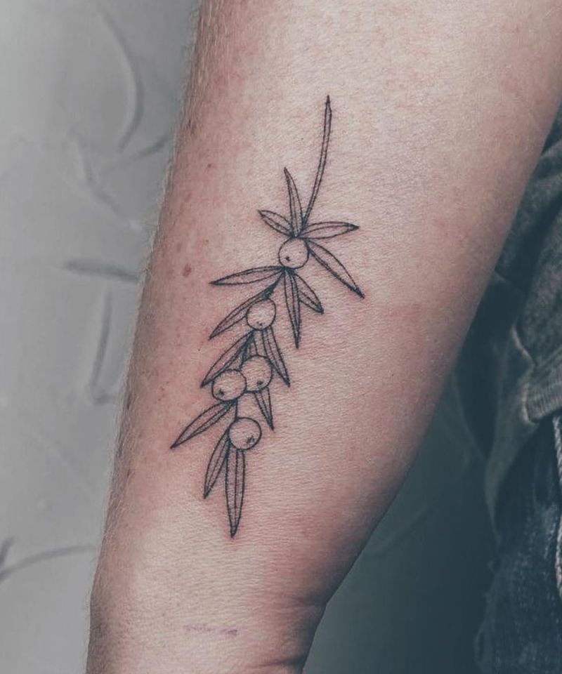 30 Pretty Juniper Tattoos to Inspire You