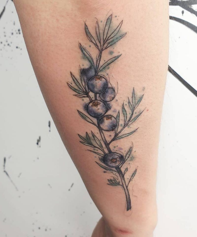 30 Pretty Juniper Tattoos to Inspire You