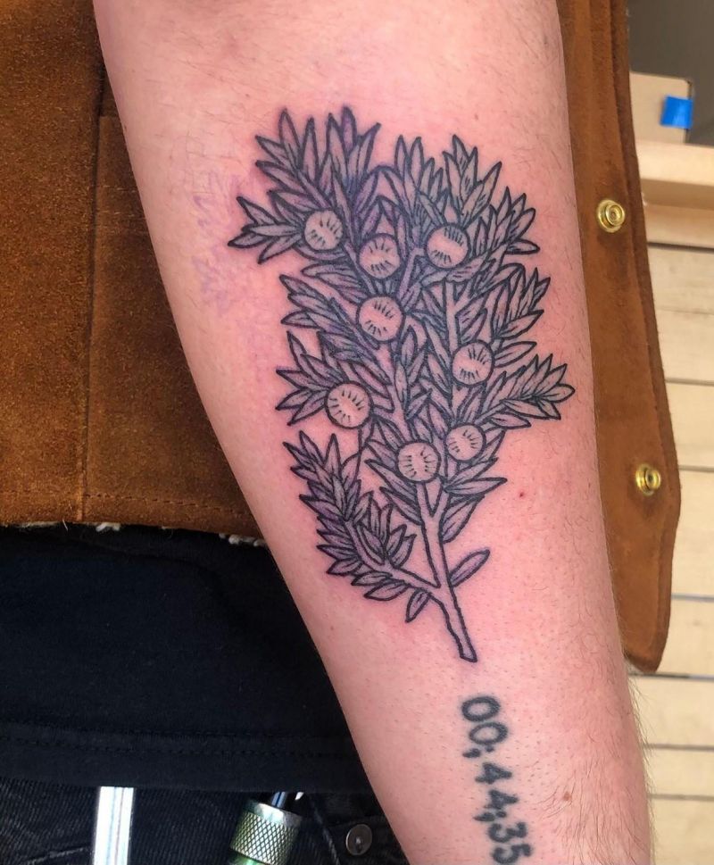 30 Pretty Juniper Tattoos to Inspire You