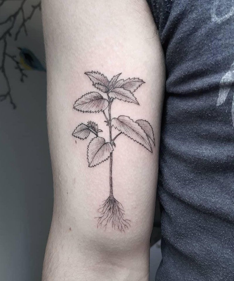 30 Pretty Mint Tattoos You Can Copy