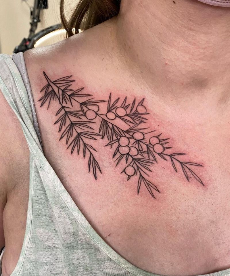 30 Pretty Juniper Tattoos to Inspire You