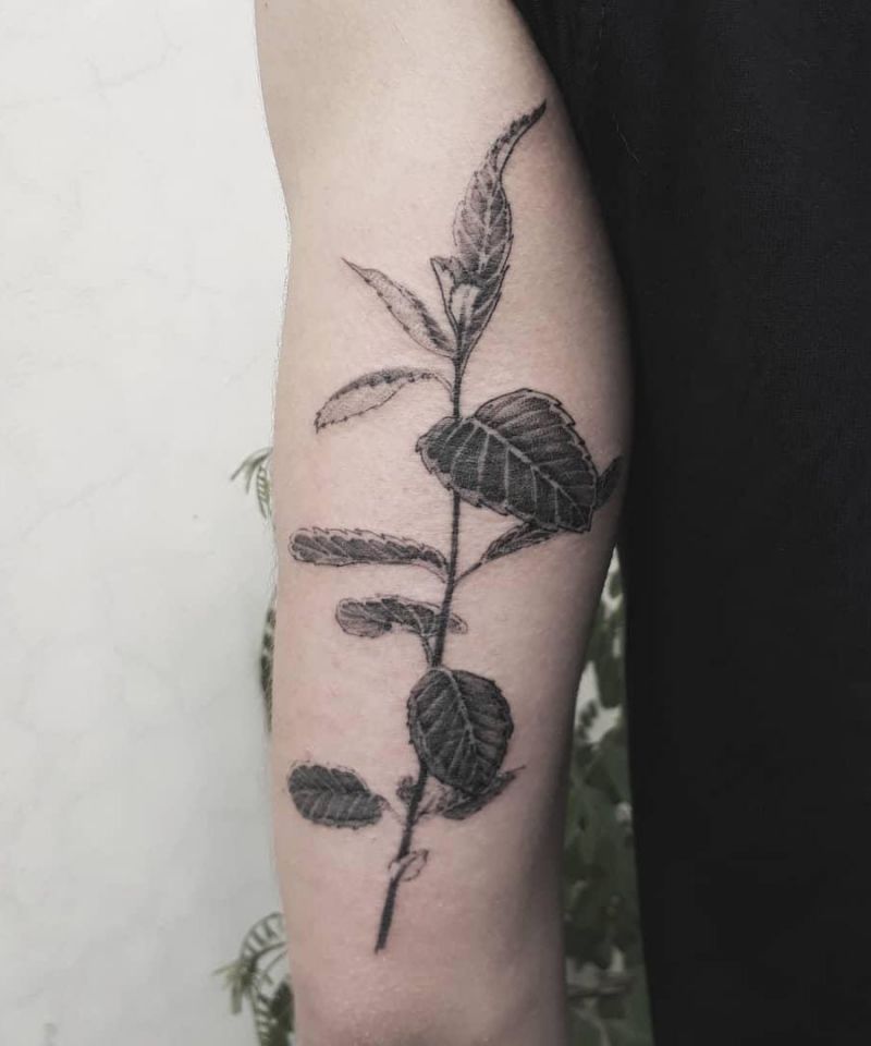 30 Pretty Mint Tattoos You Can Copy