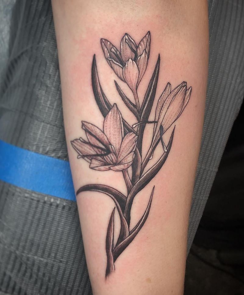 30 Pretty Crocus Tattoos You Must Love