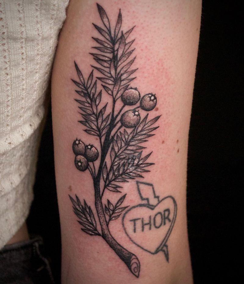 30 Pretty Juniper Tattoos to Inspire You