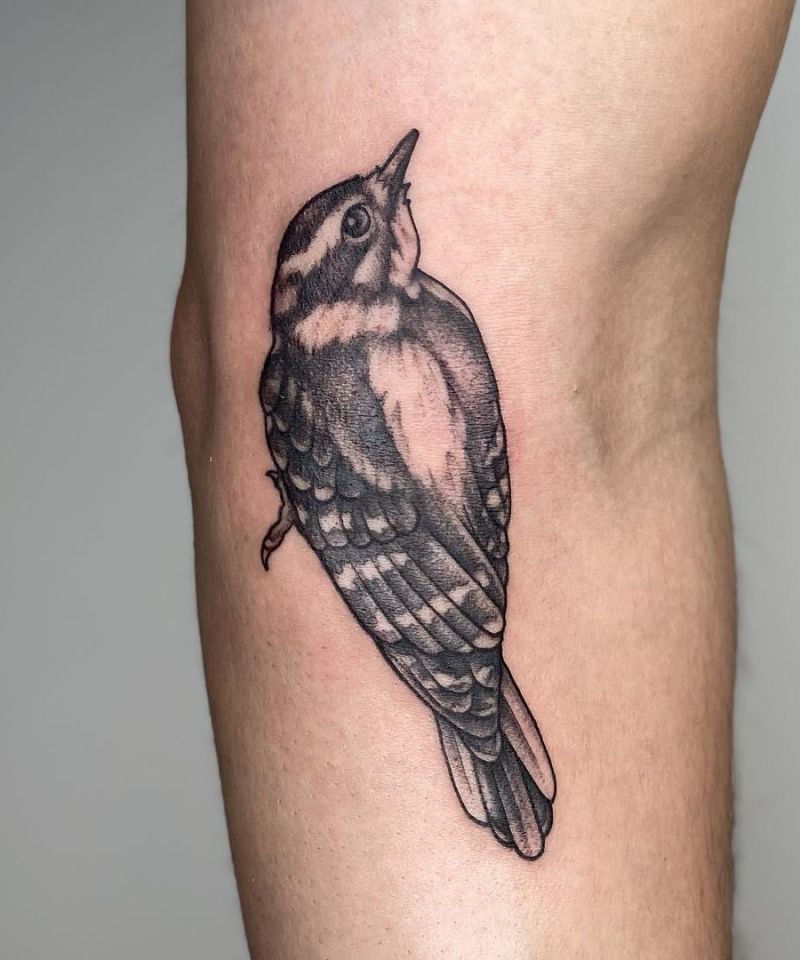 30 Pretty Woodpecker Tattoos You Must Love