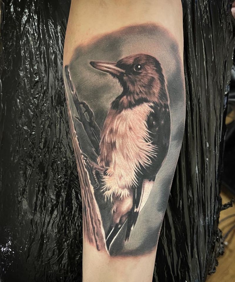 30 Pretty Woodpecker Tattoos You Must Love