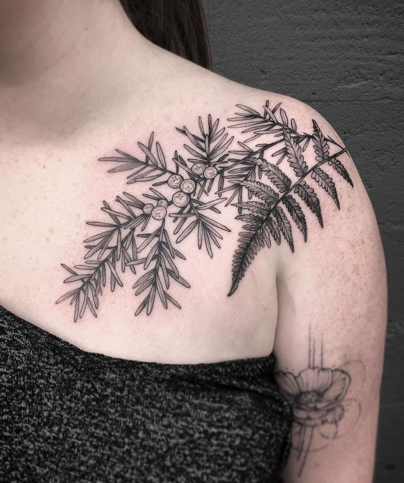 30 Pretty Juniper Tattoos to Inspire You