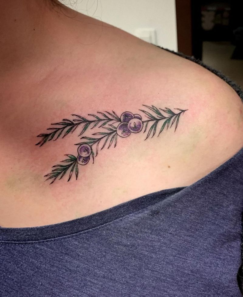 30 Pretty Juniper Tattoos to Inspire You