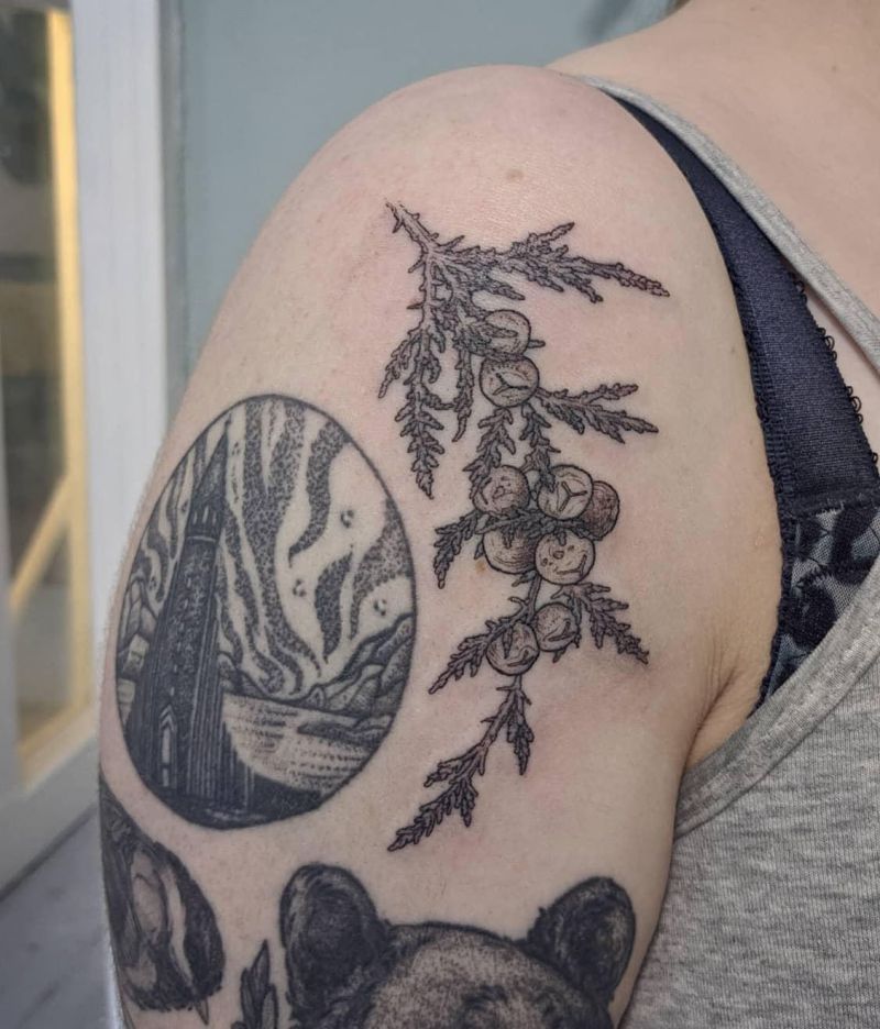 30 Pretty Juniper Tattoos to Inspire You