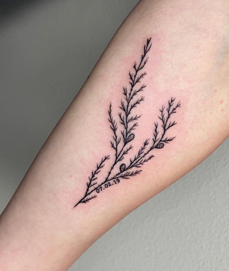 30 Pretty Juniper Tattoos to Inspire You