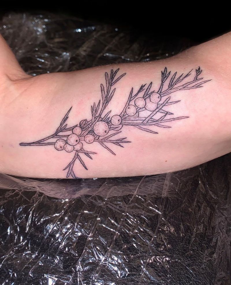 30 Pretty Juniper Tattoos to Inspire You