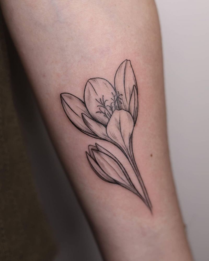 30 Pretty Crocus Tattoos You Must Love