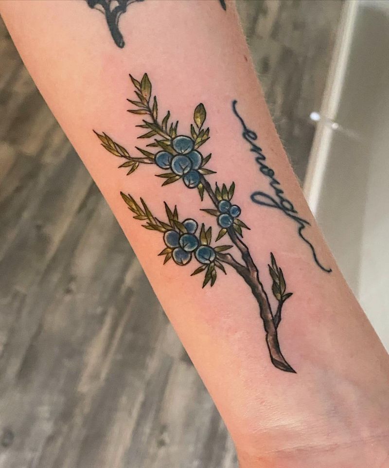 30 Pretty Juniper Tattoos to Inspire You