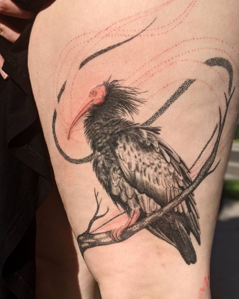 30 Unique Ibis Tattoos For Your Inspiration