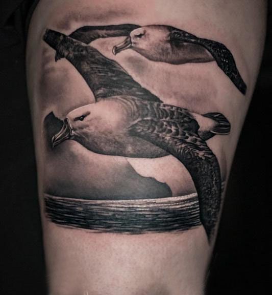 28 Unique Albatross Tattoos You Can Copy