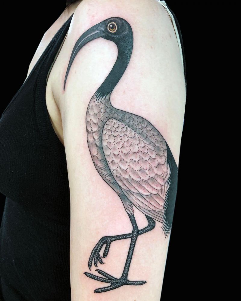 30 Unique Ibis Tattoos For Your Inspiration