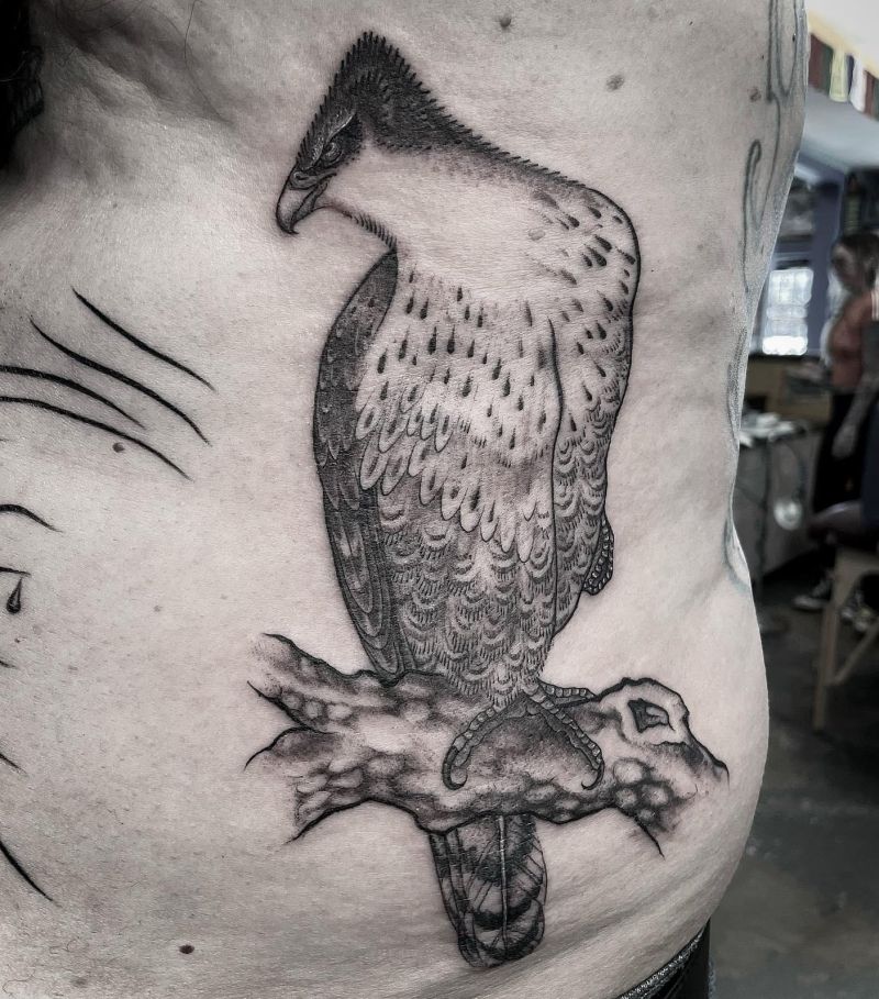 30 Amazing Hawk Tattoos Make You Attractive