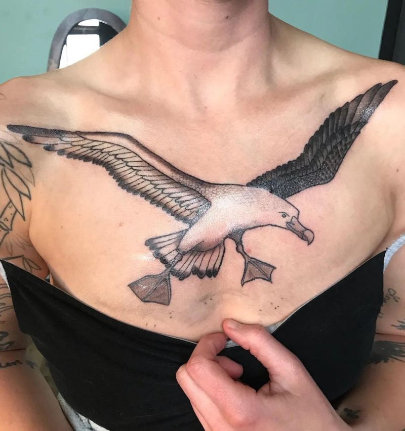 28 Unique Albatross Tattoos You Can Copy