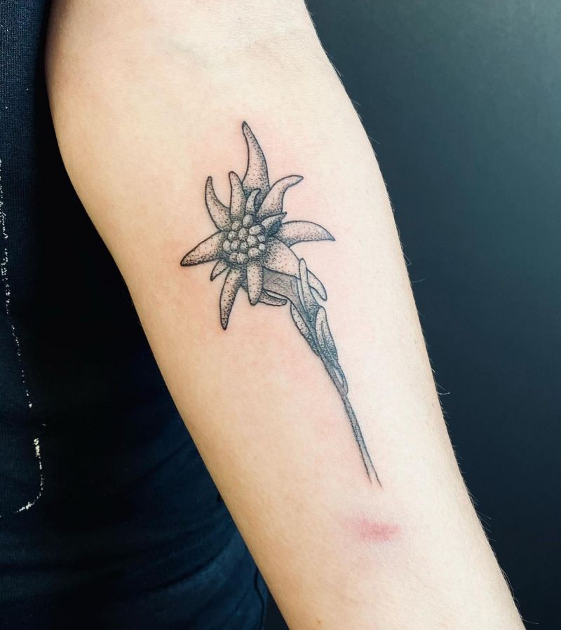 30 Unique Edelweiss Tattoos You Must Try