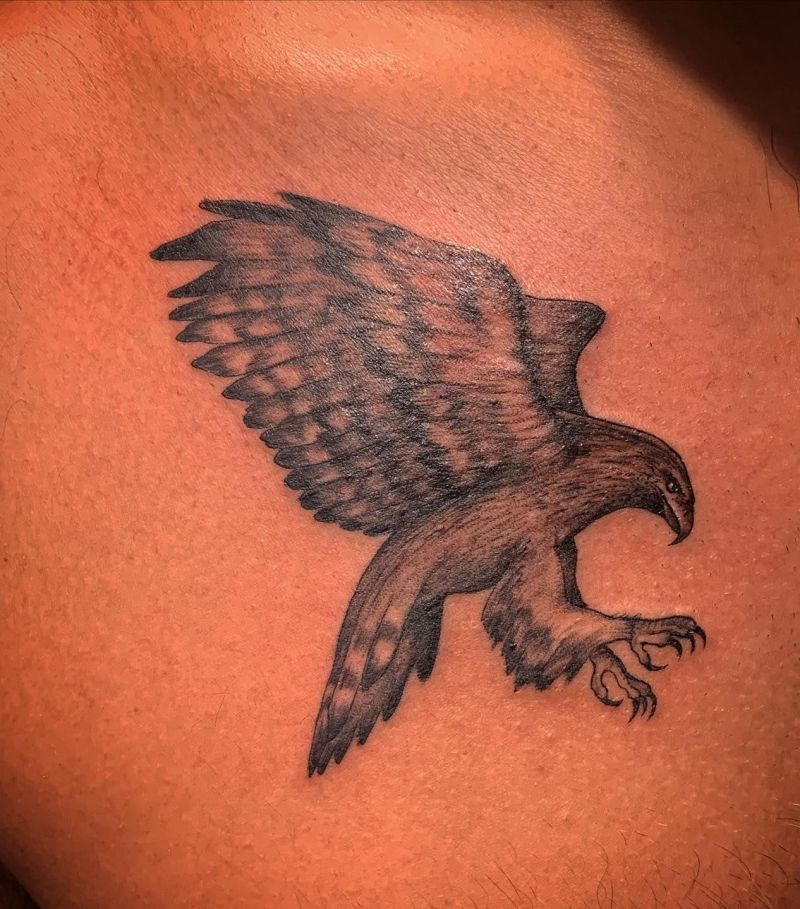 30 Amazing Hawk Tattoos Make You Attractive