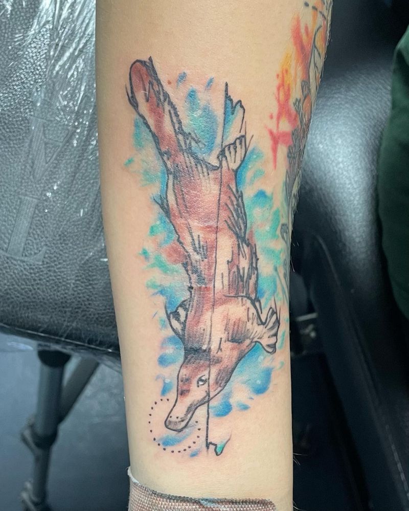 30 Cool Platypus Tattoos You Will Love